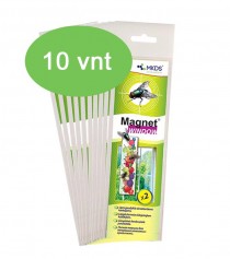 Magnet WINDOW lipnus musgaudis MAXI pakuotė